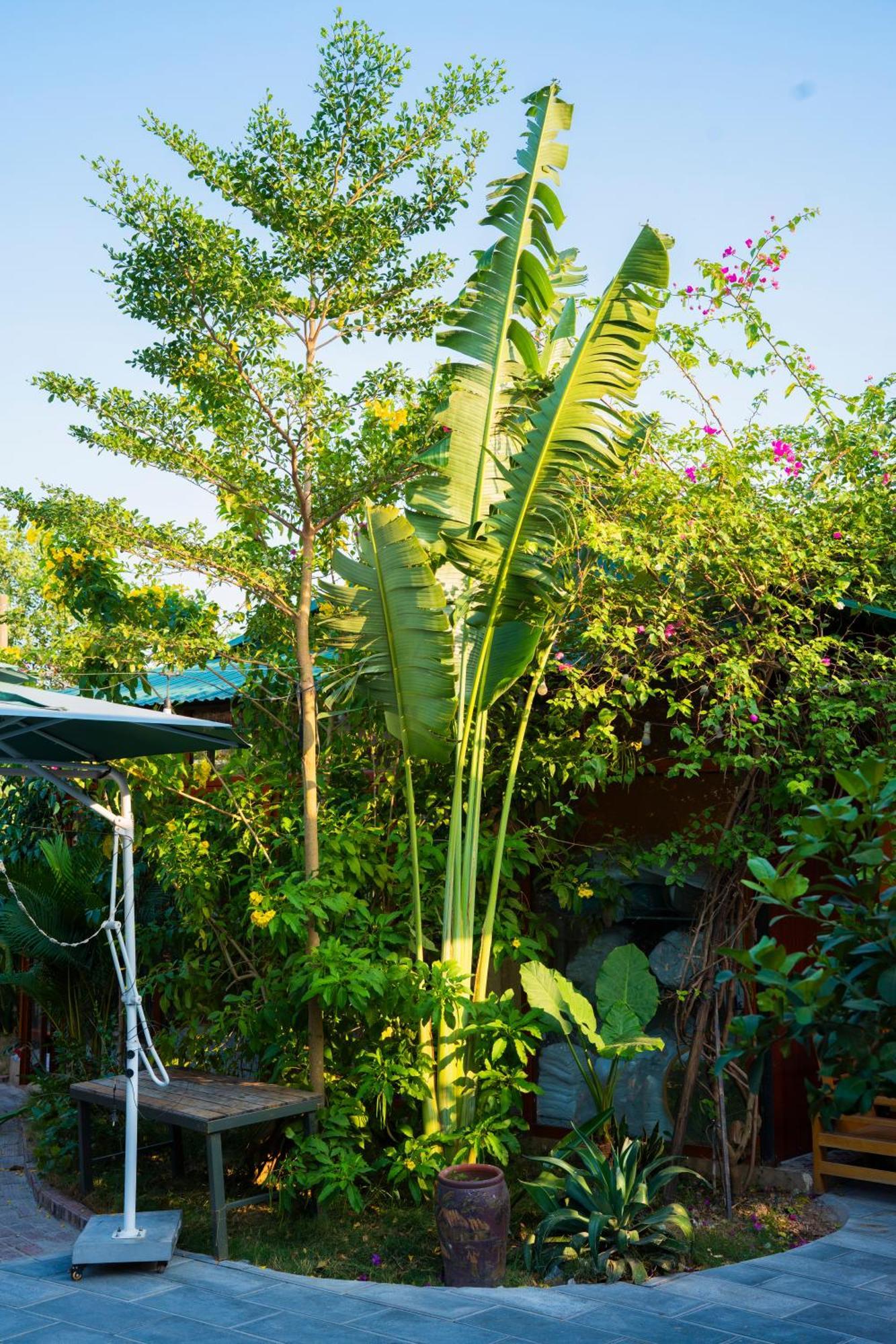 Hotel Rosa Garden Ninh Binh Exterior foto